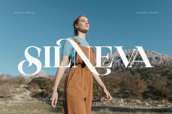 How Silneva Elevates Your Web Design Projects