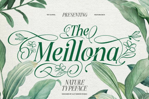 Meillona Font Review: A Graceful Typeface for Campaign Design