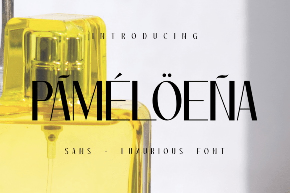 Pameloena: A Script Typeface That Elevates Branding with Elegance